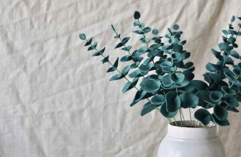 Eucalyptus Felt Greenery