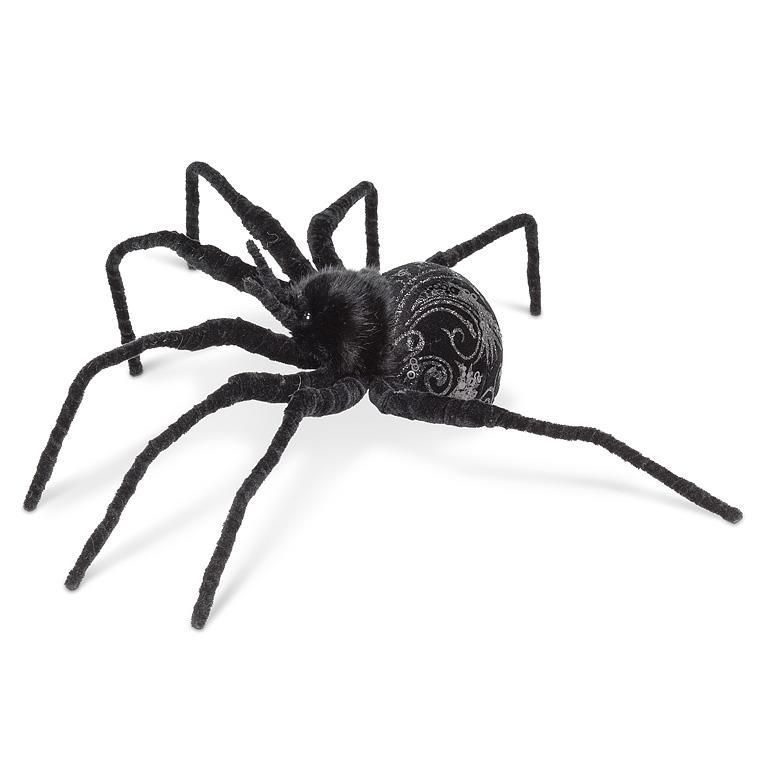 Large Velvet Spider