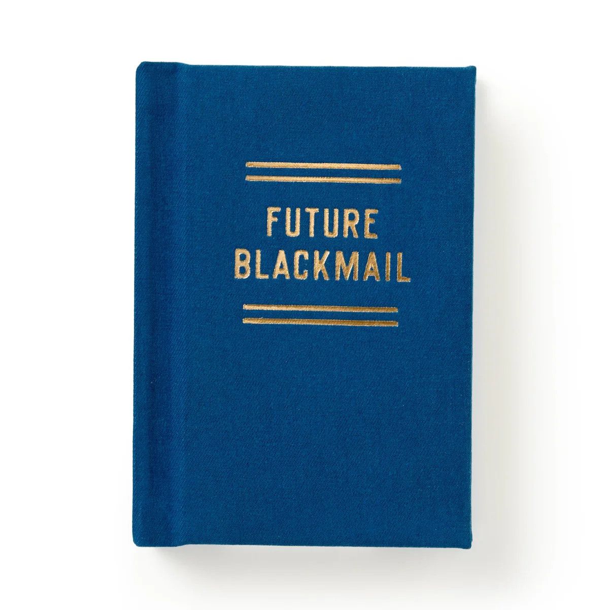 Tiny Diary Future Blackmail