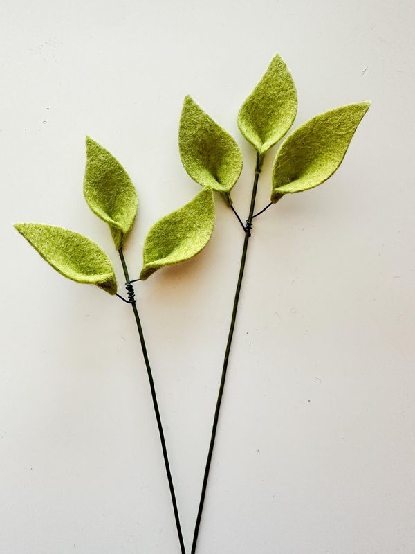 Felt Leaf Single Stem Fern