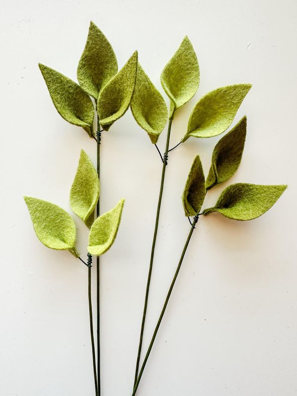 Felt Leaf Single Stem Moss