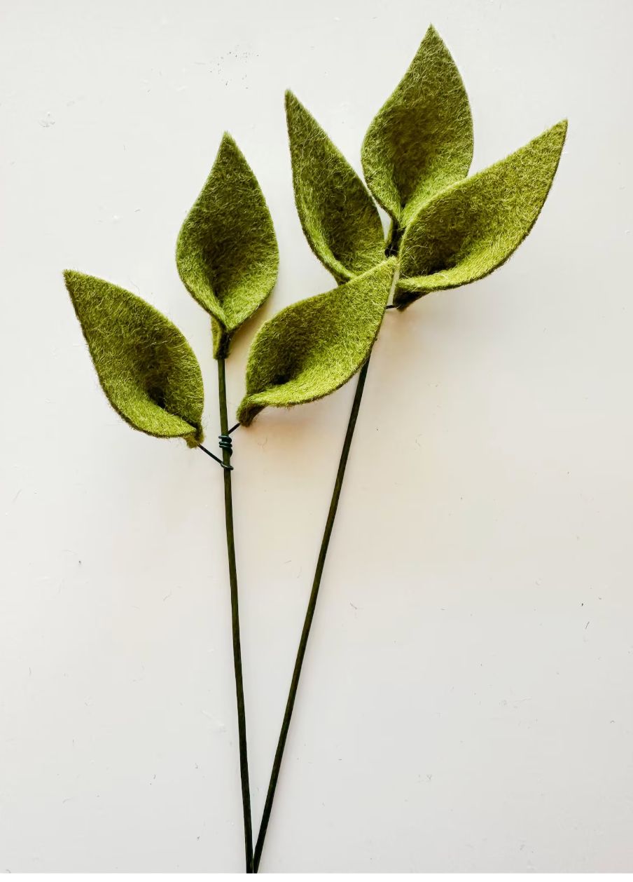 Felt Leaf Single Stem Moss