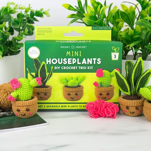 Pocket Crochet Craft House Plants