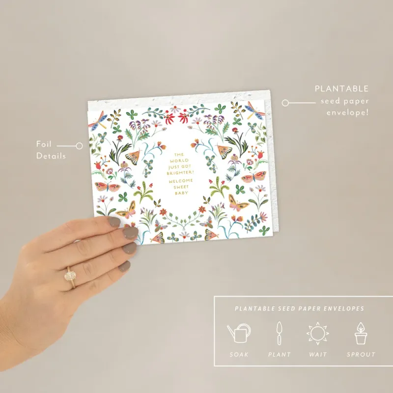 Butterfly Garden / Welcome Sweet Baby