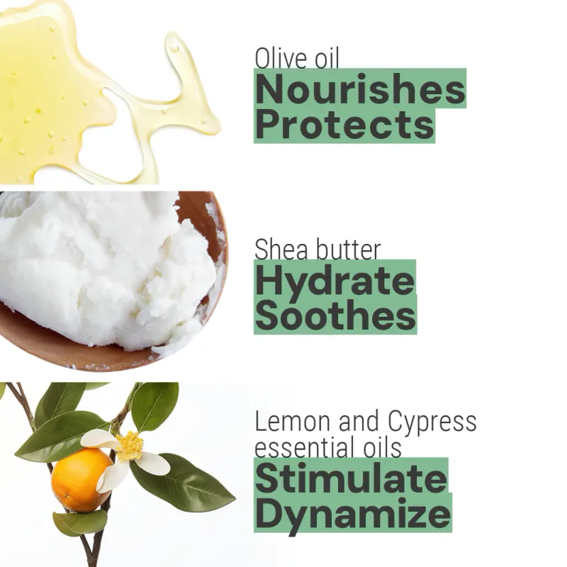Hand Cream Essential Oils of Provence