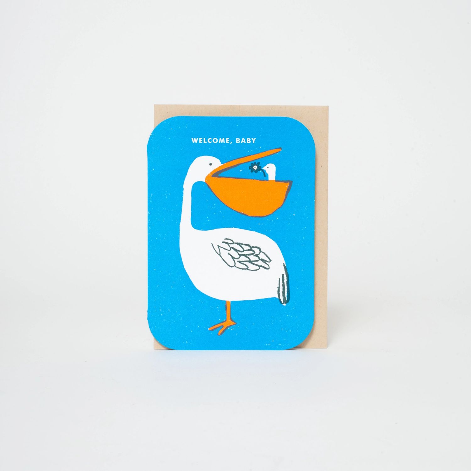 Baby Congrats Pelican Welcome Letterpress