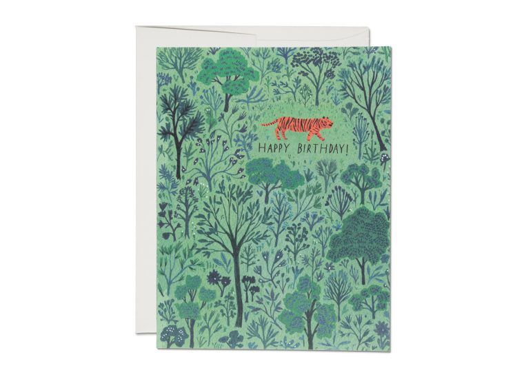 Orange Tiger Birthday