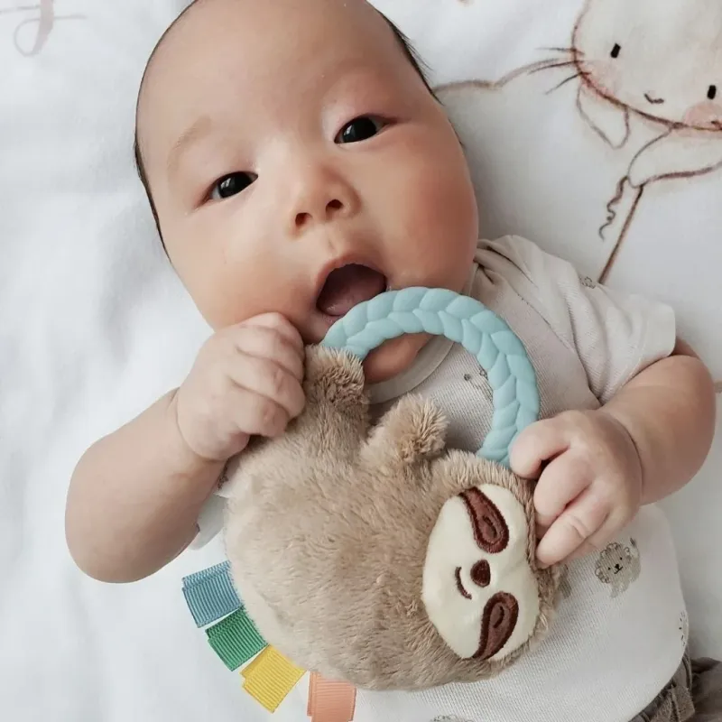 Ritzy Rattle Pal Sloth