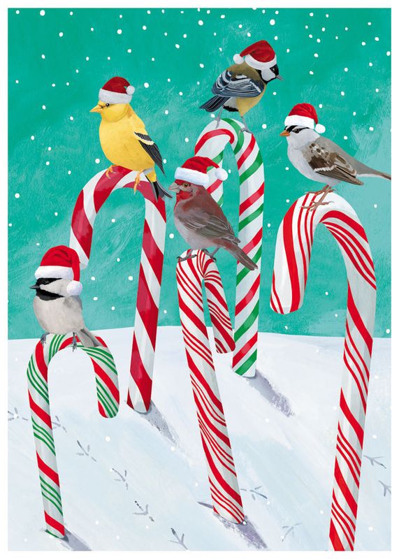 Boxed Christmas Cards Candy Cane Birds