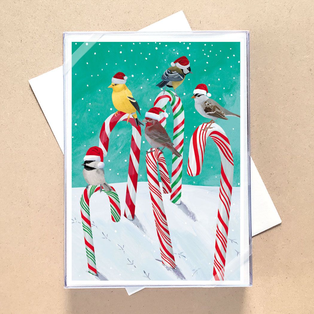 Boxed Christmas Cards Candy Cane Birds