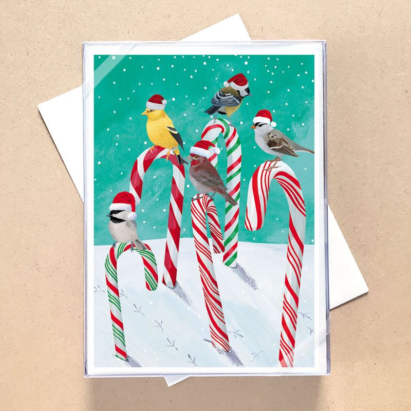 Boxed Christmas Cards Candy Cane Birds