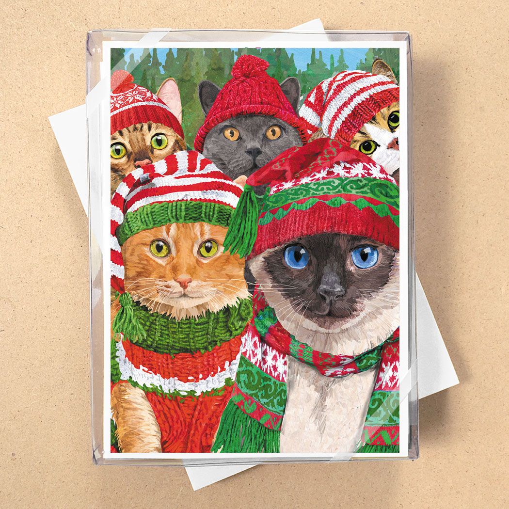 Boxed Christmas Cards Cat Ussie