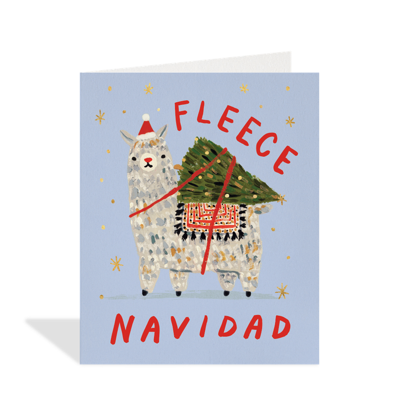 Boxed Christmas Cards Assorted Merry and Bright