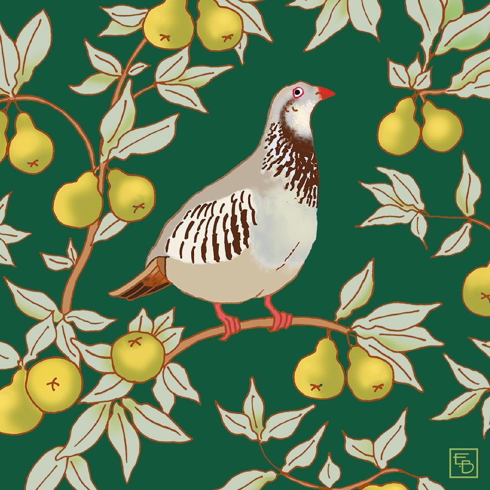 Boxed Christmas Cards Small Square Partridge Green