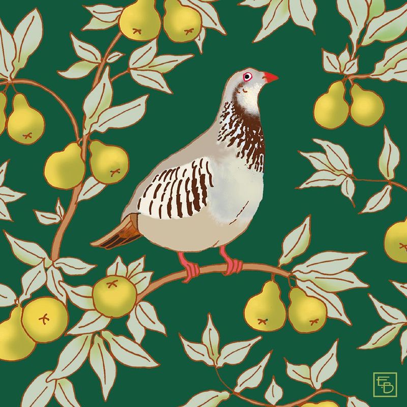 Boxed Christmas Cards Small Square Partridge Green