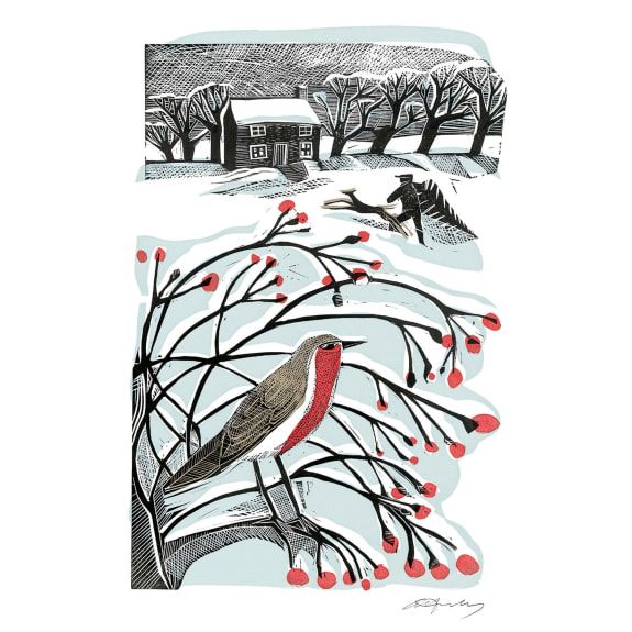 Boxed Christmas Cards Deep Midwinter
