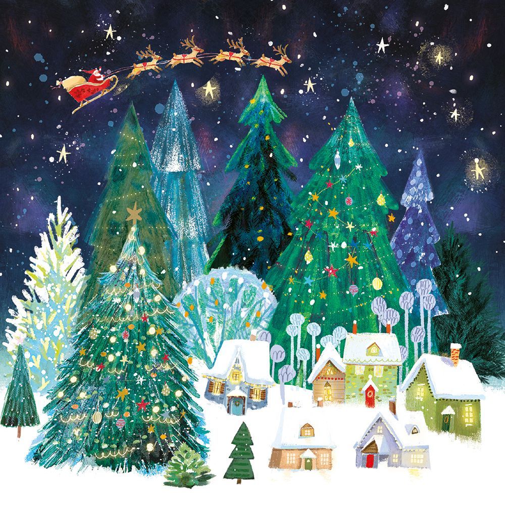 Boxed Christmas Cards Christmas Square Santas Sleigh