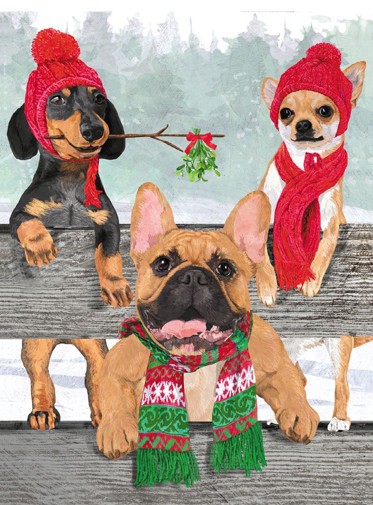 Winter Woofs