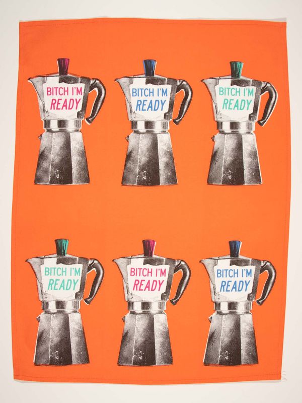Dishtowel Bitch, I'm Ready