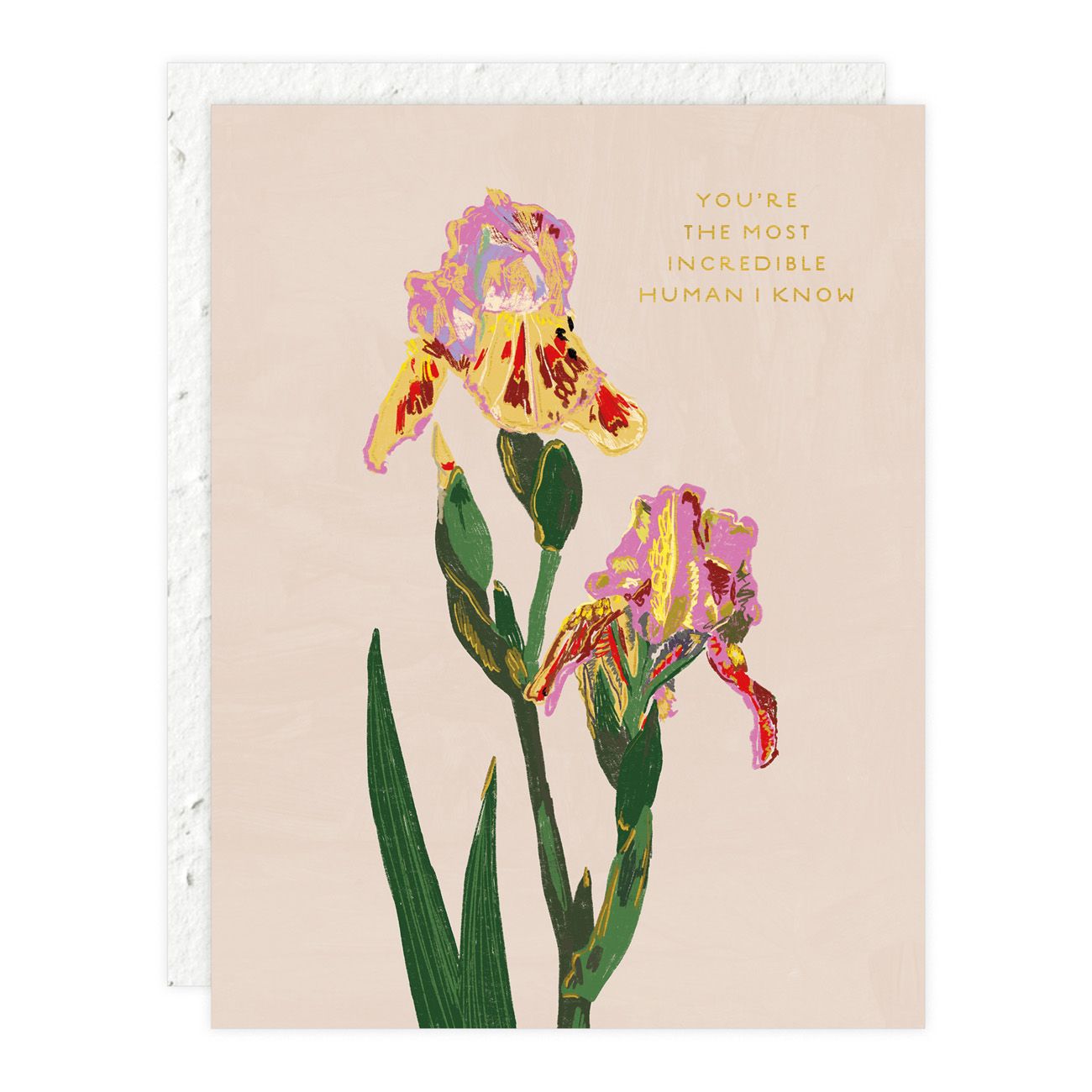Whimsy Bloom Card