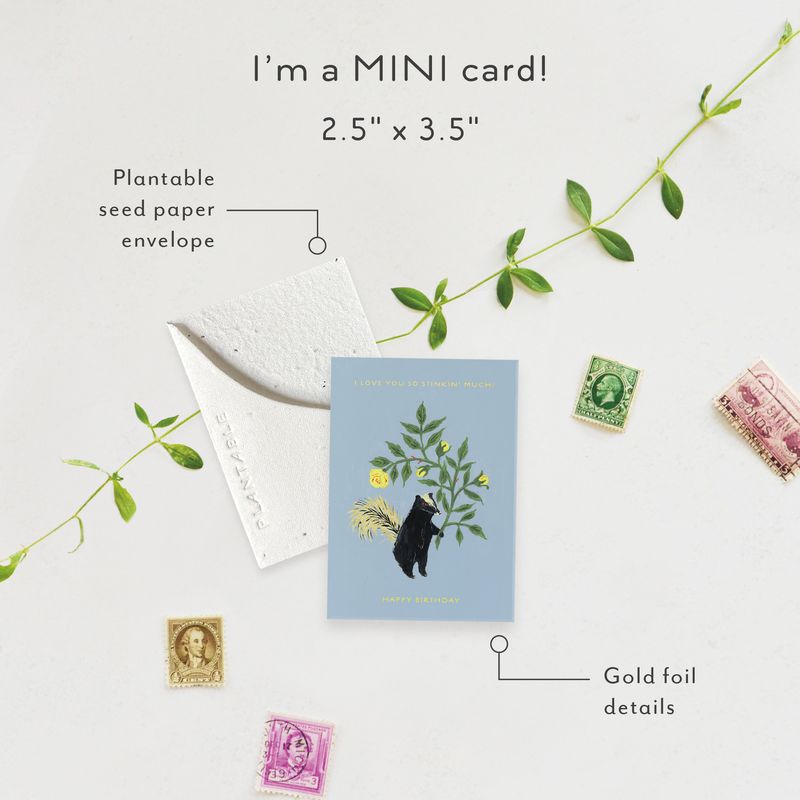 Stinker Birthday Mini Card