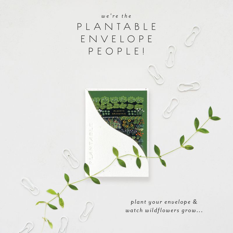 Garden Greenhouse Birthday Mini Card