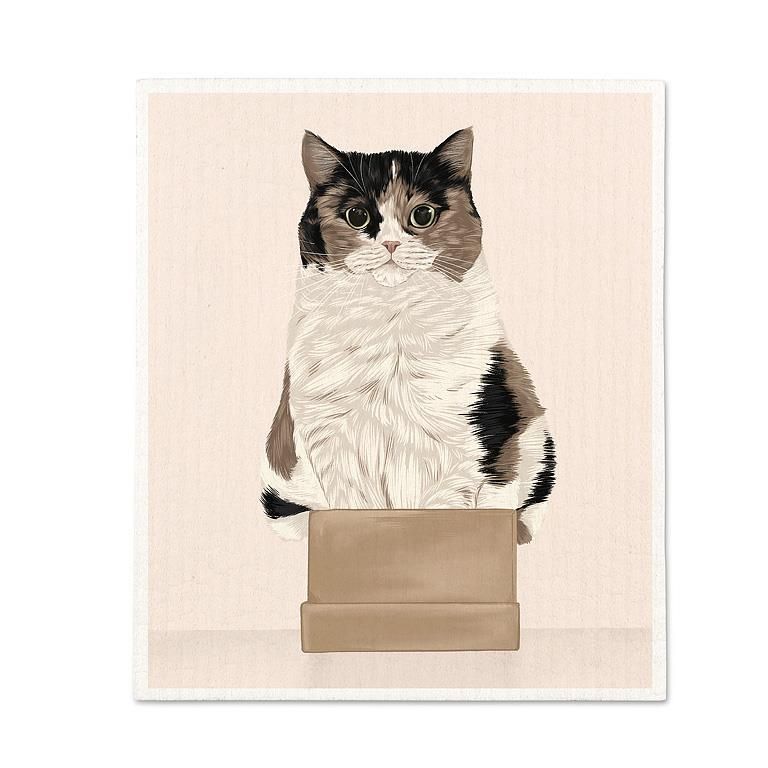 Cat in Box Swedish Dishcloth