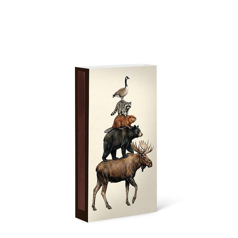Matches Set of 45 Sticks Canadian Animals