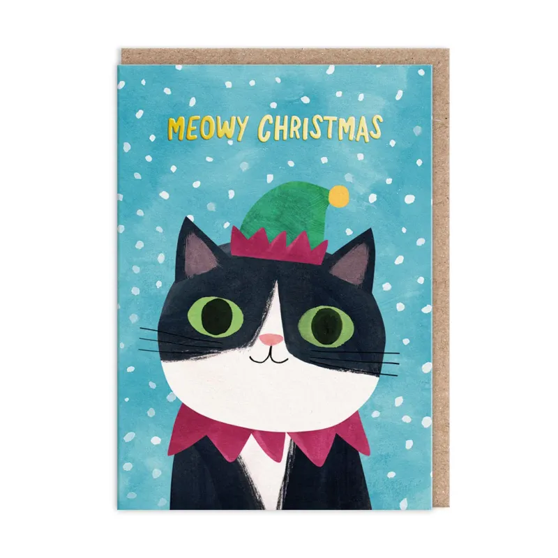 Boxed Christmas Cards Planet Cat