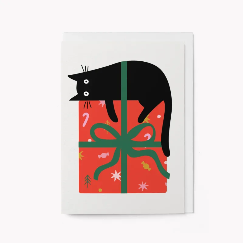 Cat On Gift