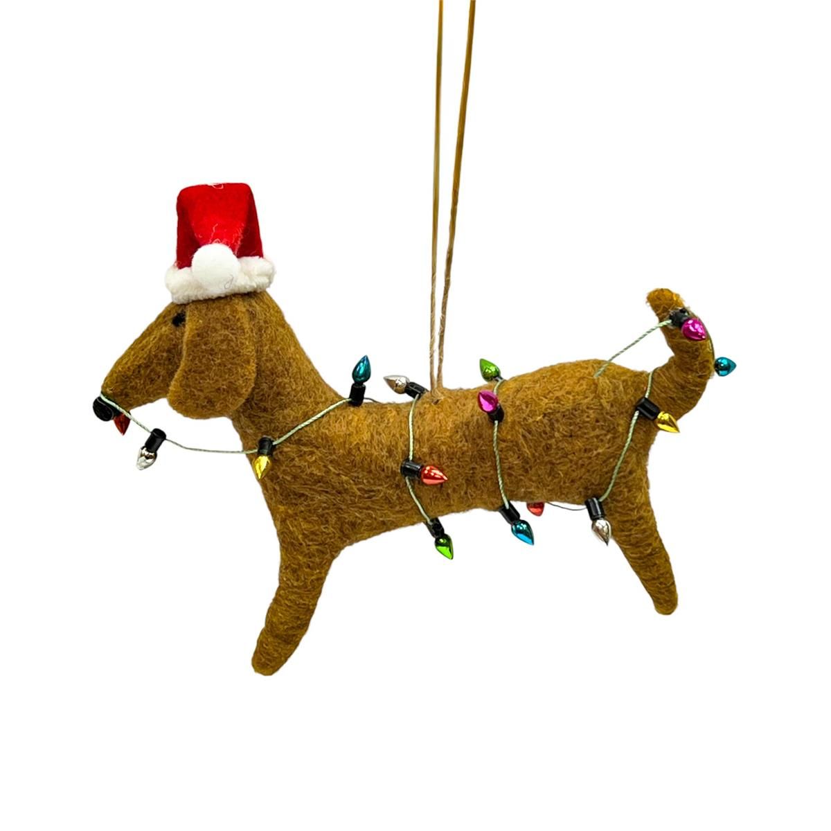 Dog w/Santa Hat &amp; Xmas Lights