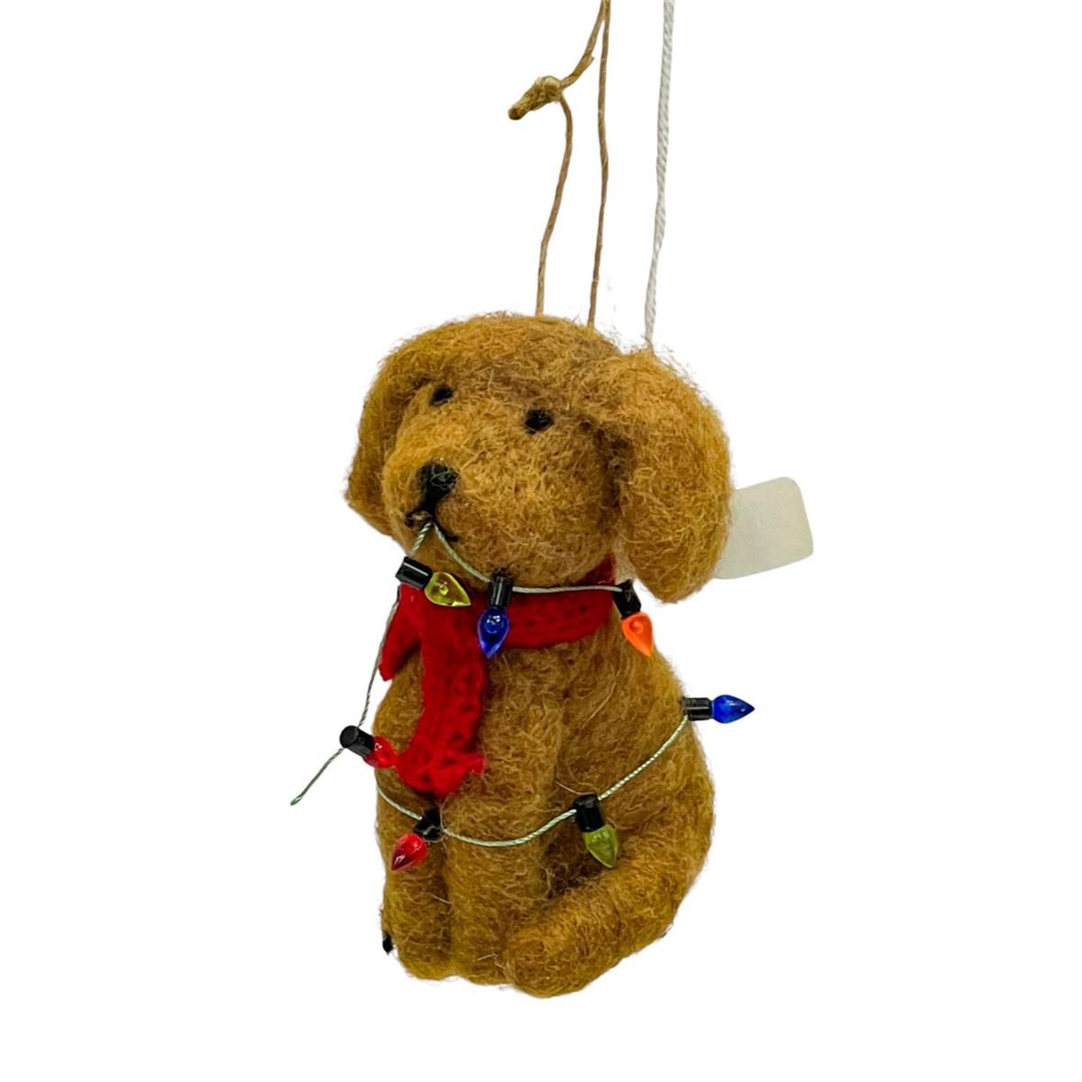 Dog with Red Scarf and Lights