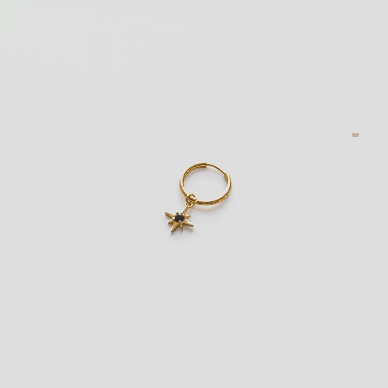 The Blonde Chaos Inner Star Hoops SS