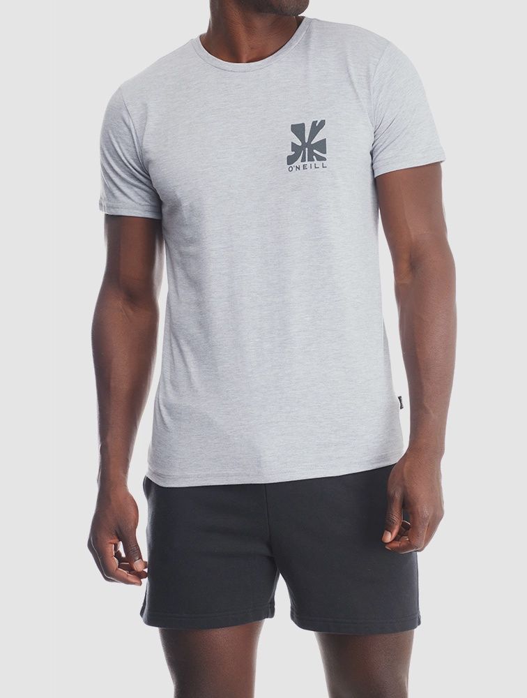 Og Fin Ss Tee Grey Melange