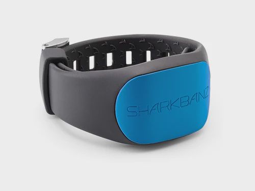 SharkBanz 2, Colour: Slate/Azure