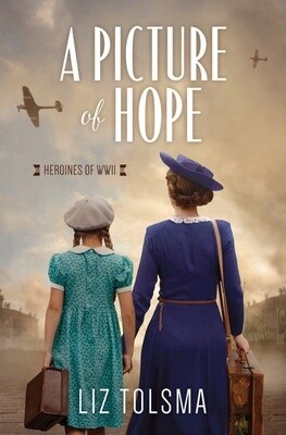 Barbour Publishing A Picture of Hope