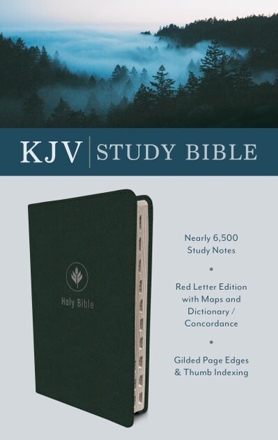 Barbour Publishing KJV Study Bible (Evergreen Fog)