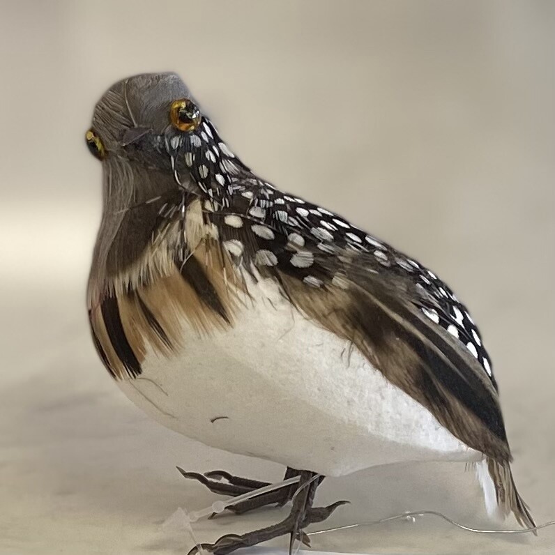 4.75&quot; Quail