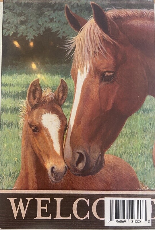 Carson Welcome Horse Large Double Sided Flag