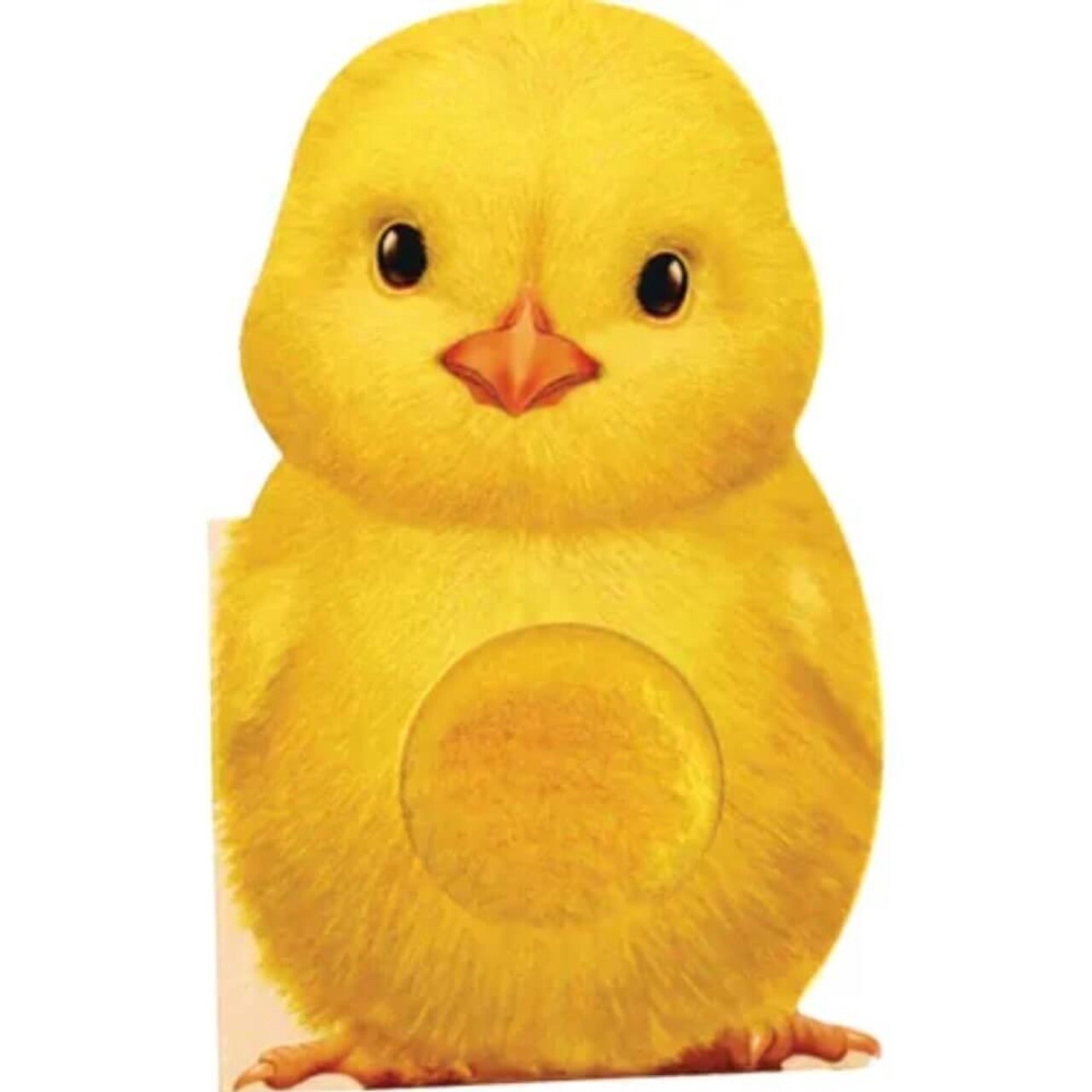 Furry Chick Interactive Book