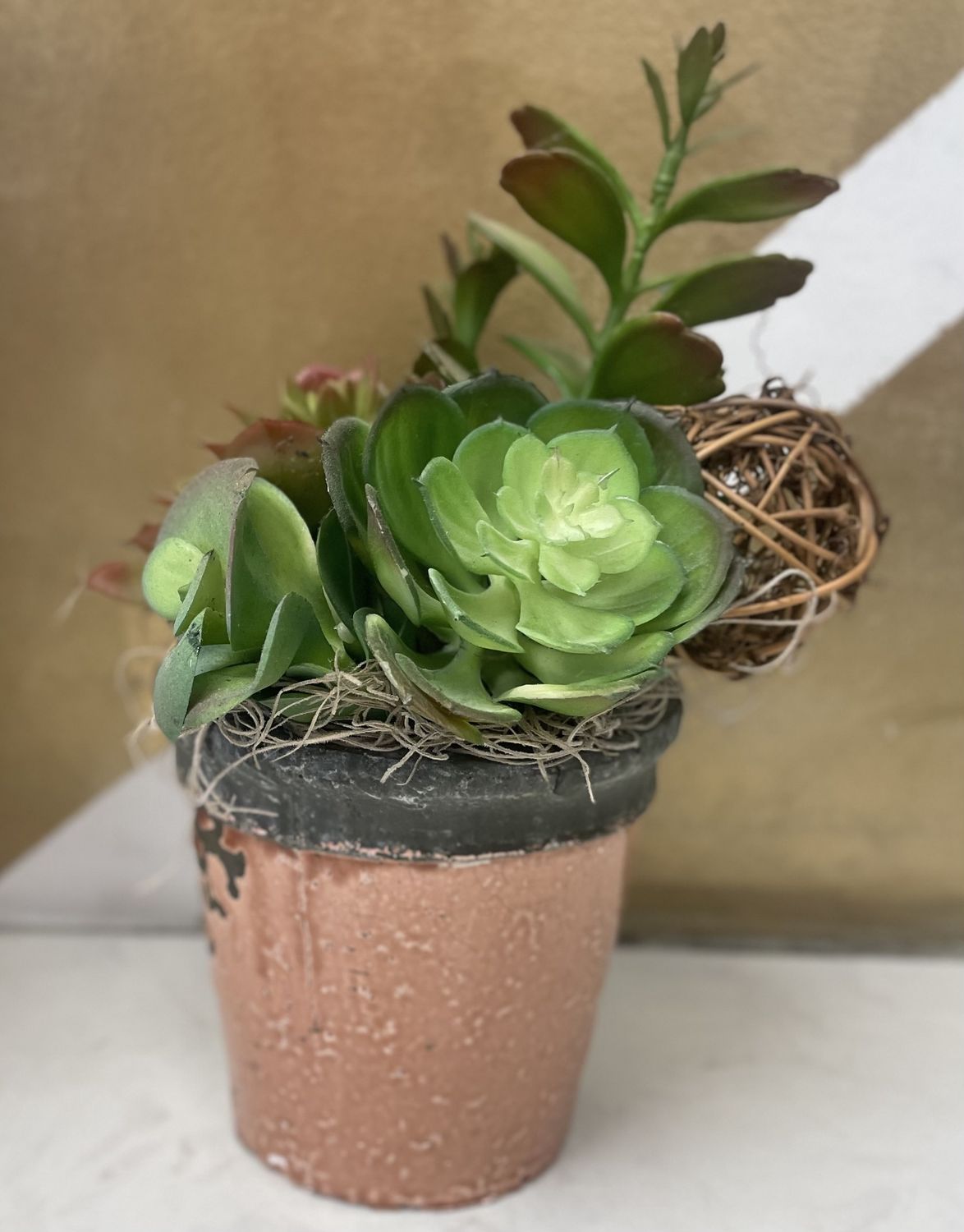 Ceramic Potted Succulent