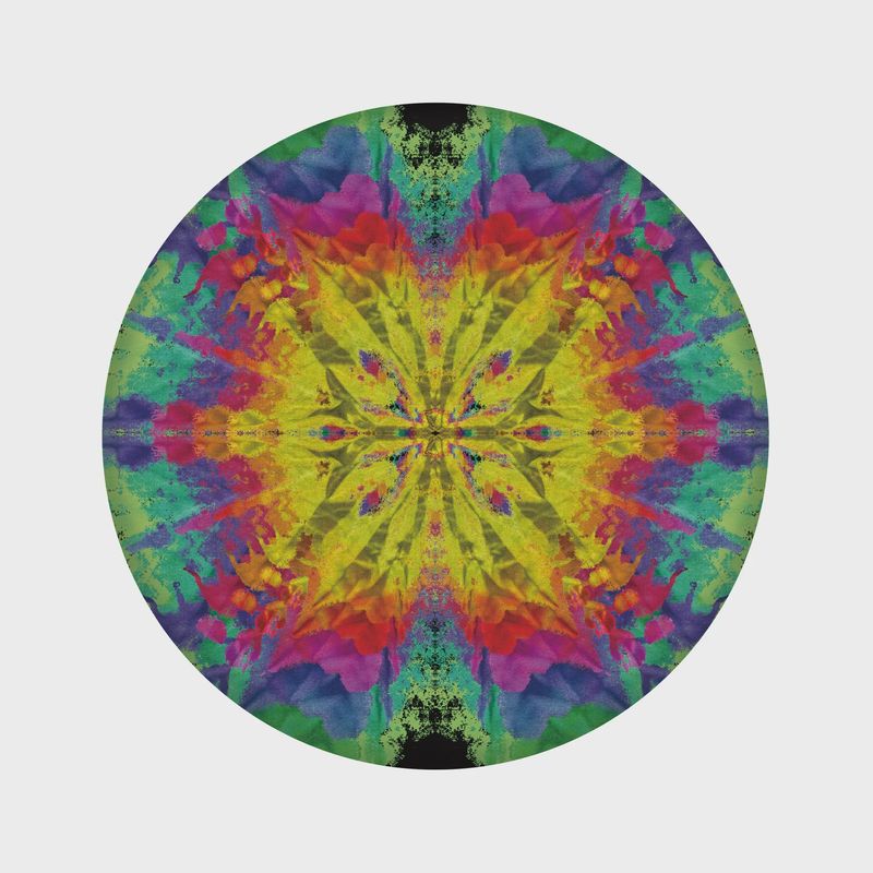 Waboba Green Gem Wingman Pro Disc