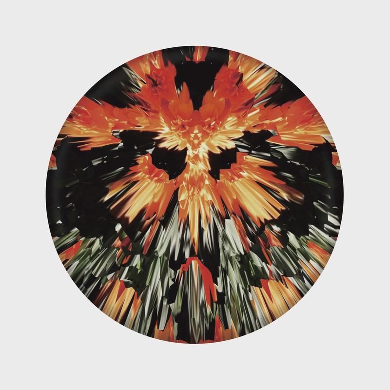Waboba Flames Wingman Pro Disc
