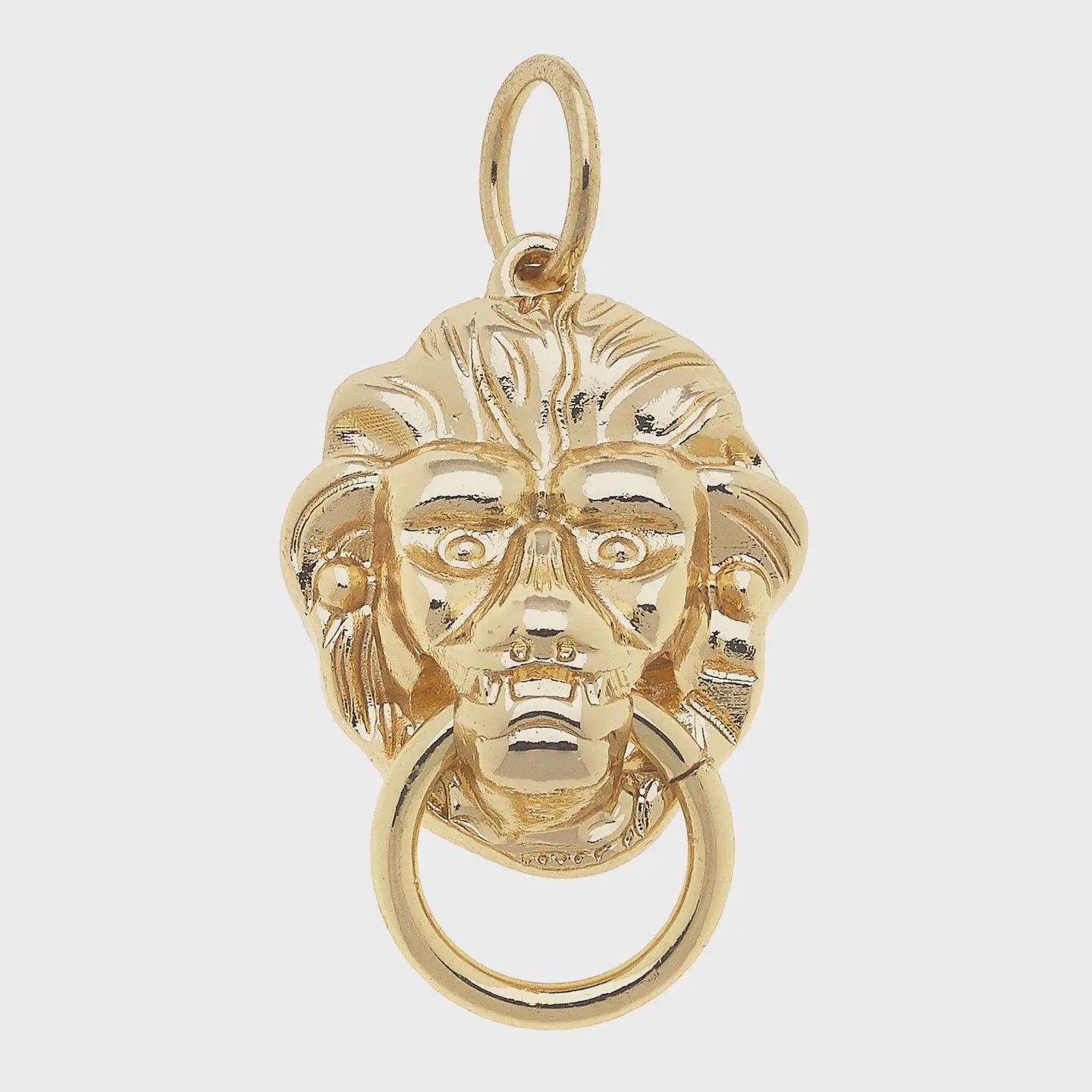Canvas Lioness Door Knocker Charm in Shiny Gold