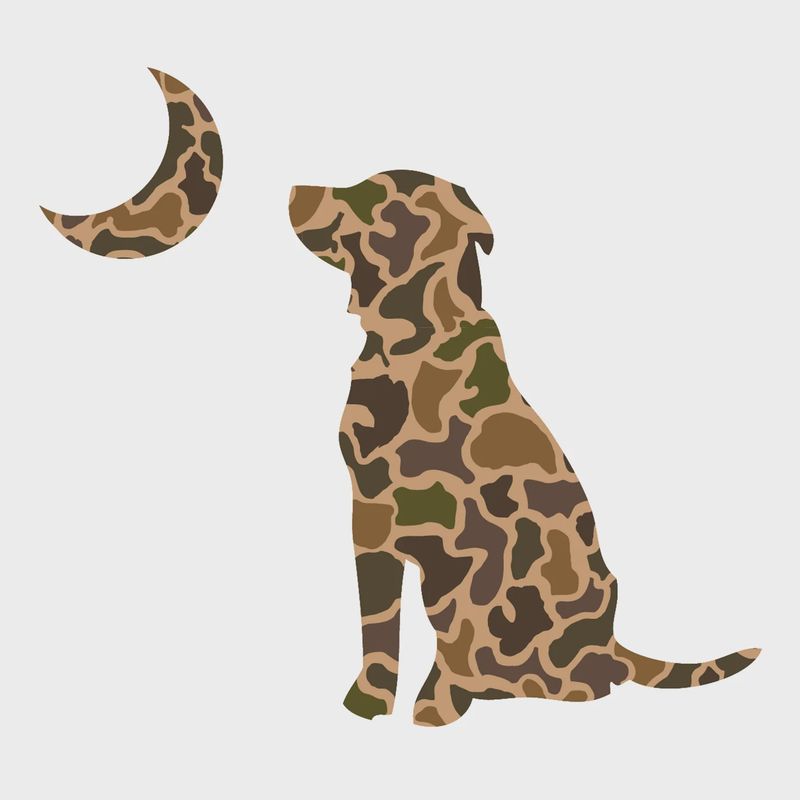 Local Boy Dog &amp; Moon Decal
