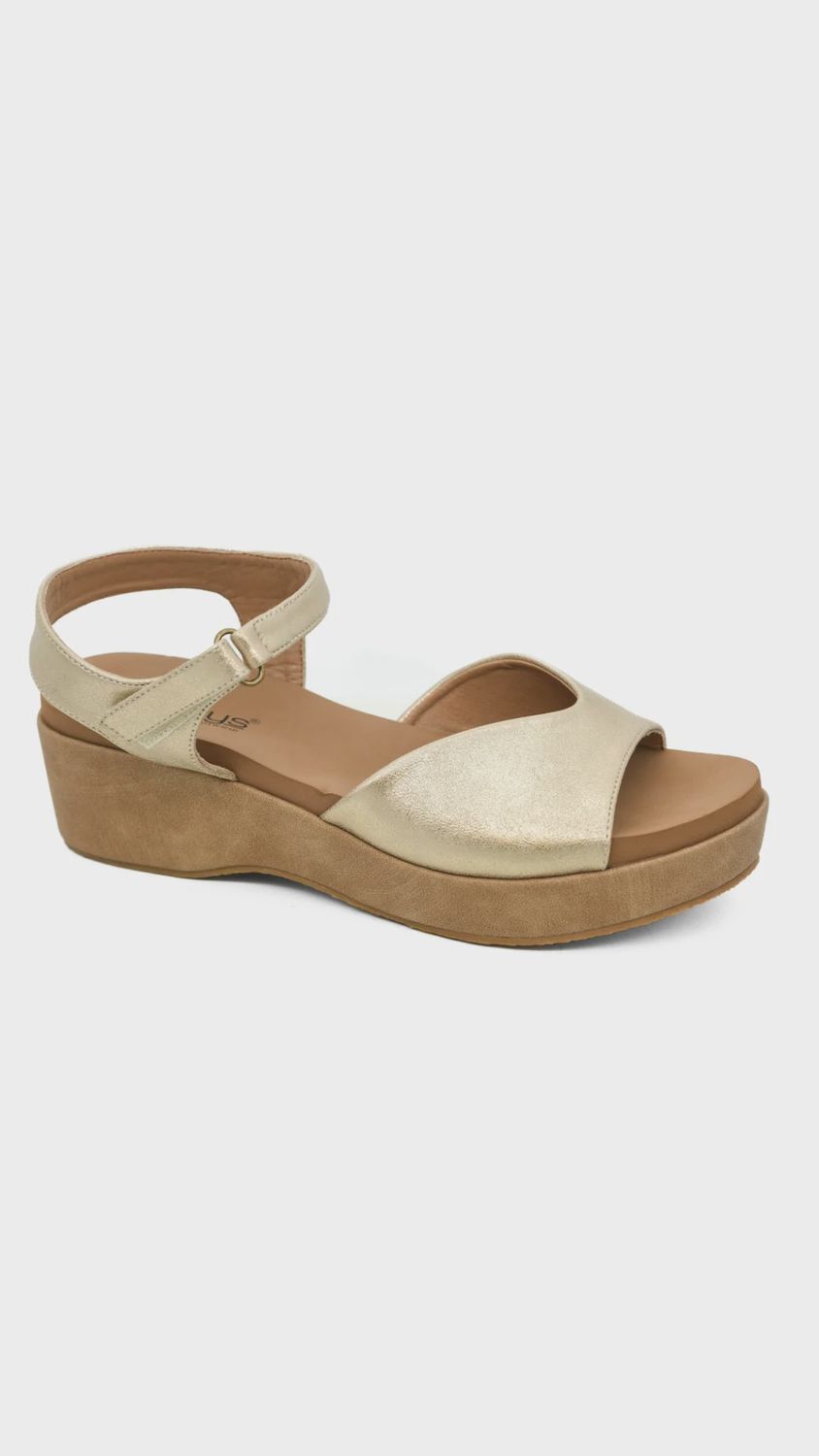 Corky&#39;s Meet Ya There - Gold Wash Metallic