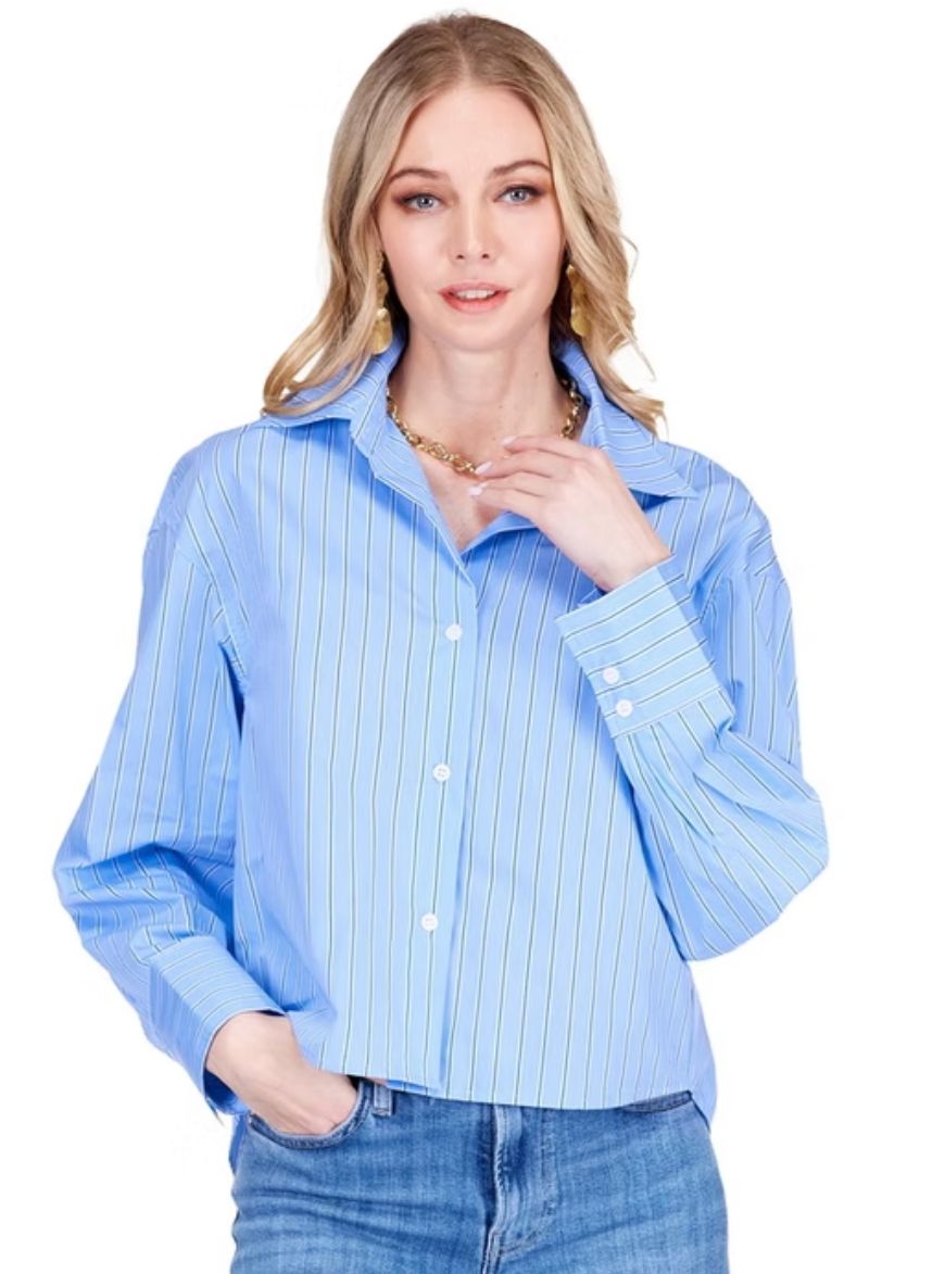Joy Joy Blue Stripe Crop Blouse