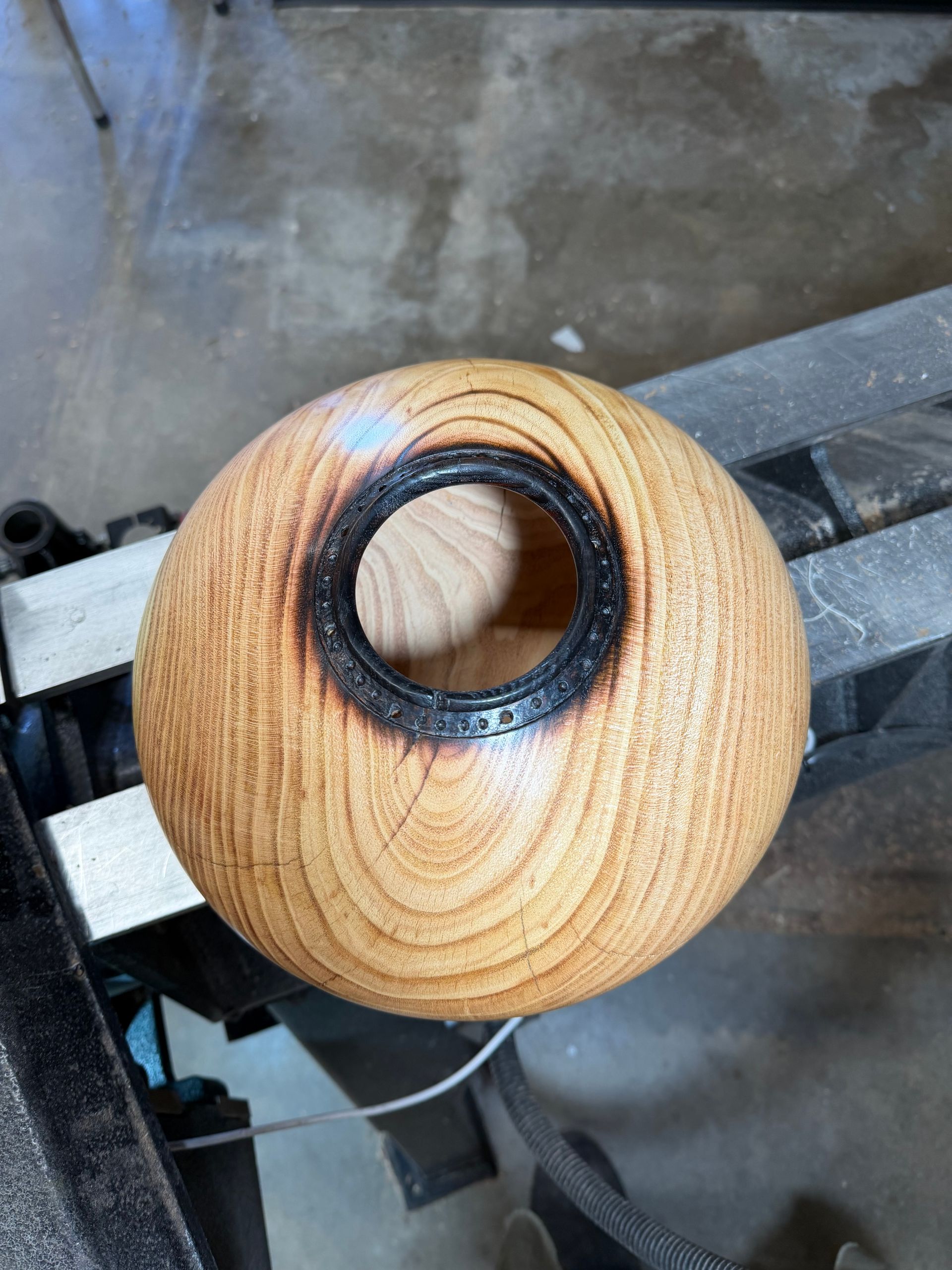 Torched rim (Honey Locust)