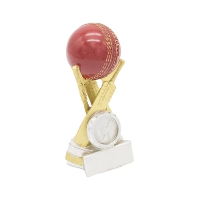Red & Gold Cricket Ball