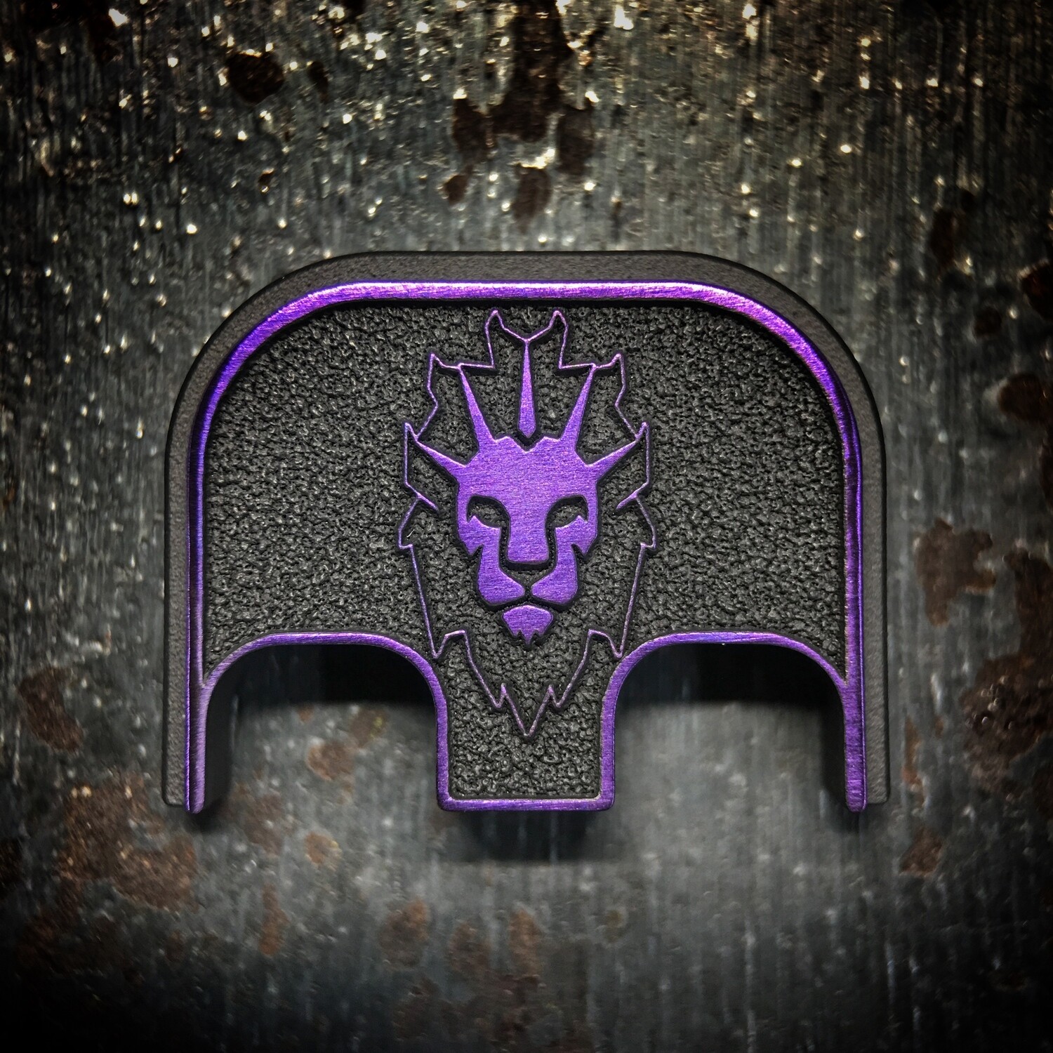 Risen Gunworks 3D - Titanium - Cerakoted Deep Engraved Purple